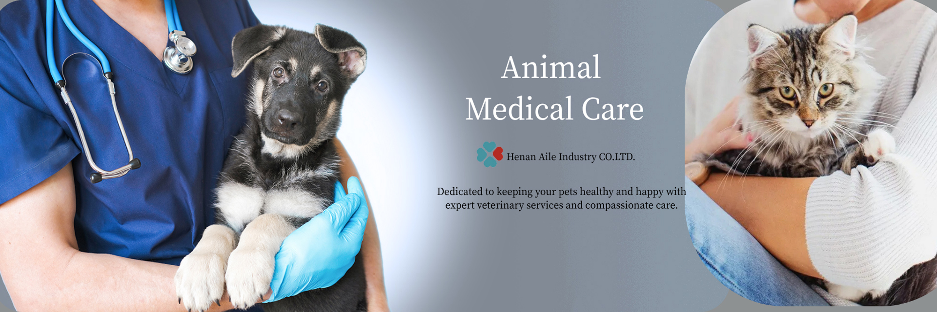 Kwaliteit Vacuüm bloedafnamesysteem fabriek