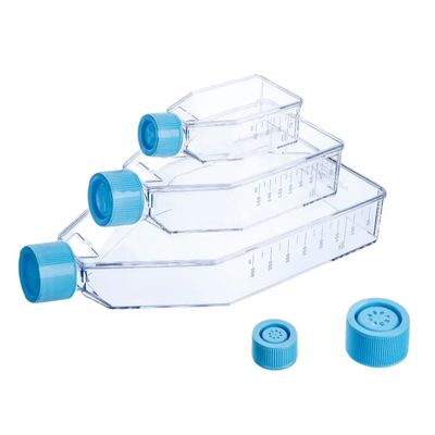 Goede prijs De steriele Plastic Fles van de Celcultuur met Geluchte de Cultuurfles T25 T75 T175 van de Dekkingscel online