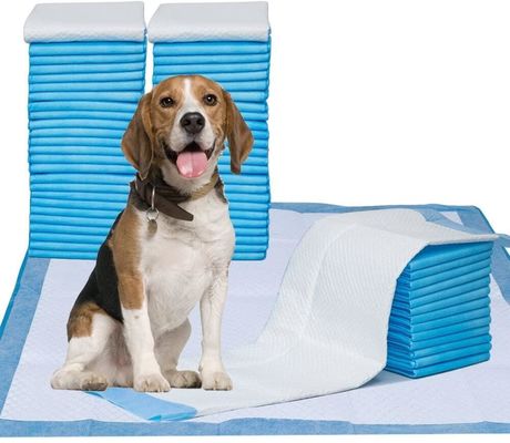kopen 5-laags Trainingsmat voor huisdieren met superabsorberend SAP-materiaal, lekvrije PE-achterkant en sneldrogend oppervlak voor honden en katten online vervaardiging