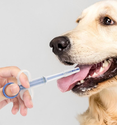 kopen Voedingssonde voor huisdieren Hond Kat Pil Pistool Medicijn Spuit Voedingsset Duurzaam Plastic online vervaardiging