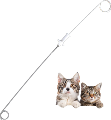 kopen Absorbeerbare medische hechting Dierlijke urine stent katheter, met gids draad hechting plaat, Geschikt voor honden Katten 3Fr 4Fr, Nier, Nier Veterinaire, PU materiaal online vervaardiging