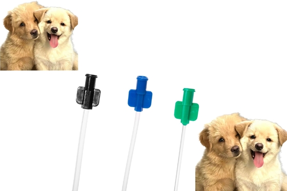 kopen PVC honden urinekatheter spoeling retentie huisdierbuis voor honden urineverzorging online vervaardiging