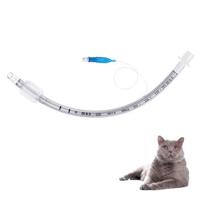 kopen Veterinaire versterkte endotracheale buis medische kwaliteit PVC met olijfbalonvormige transparante anesthesiecathéter voor dierziekenhuizen online vervaardiging