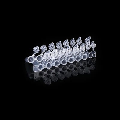 Goede prijs Koepelvormige Kappen0.2ml PCR Buis 8 Strook met GLB-PCR In bijlage Acht sloot Pijp aan online
