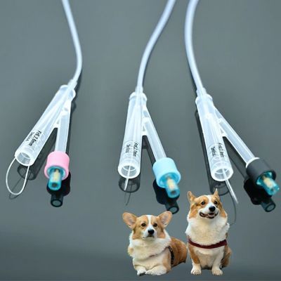 Goede prijs Veterinaire honden- en katheters voor honden – Hoogwaardig PVC/siliconen materiaal, duurzame oplossingen voor de verzorging van huisdieren online