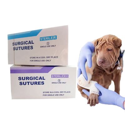 Goede prijs Nylon steriele chirurgische hechtingen Nylon monofilament hechtingen met naald Nylon zijde chromische catgut online