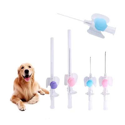Goede prijs ISO-certificaat Wegwerp IV-canule Intraveneuze injectienaald Veterinaire katheter Vlinder IV-canule online