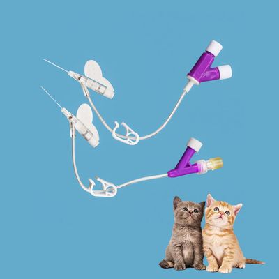 Goede prijs IV-katheter voor katten en honden Y-type Betere fixatie online