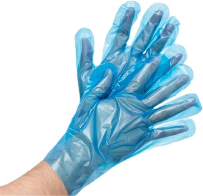 Goede prijs Keuken Huis Catering Kreeft Barbecue Pe Film Handschoenen Verdikte Wegwerp Plastic Handschoenen Duurzaam Waterdicht online