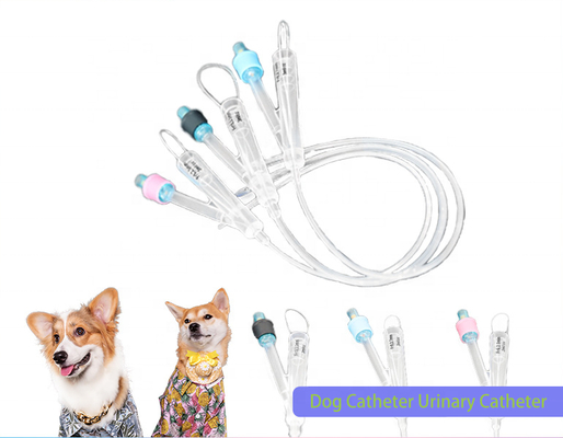 Goede prijs Dieren Medisch Hydrofiele diergeneeskunde Siliconecoating Super-smeerkracht 2 Way Pure Silicon Foley catheter Urinechirurgie voor honden online