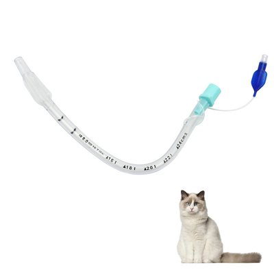 Goede prijs Veterinaire luchtwegbeheer – Endotracheale tubes met en zonder manchet, versterkt, voor spoedeisende diergeneeskundige zorg online