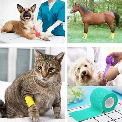 Goede prijs Medische kwaliteit Elastiek Vet Wrap Cohesive Bandage Niet-steriel Klasse I Apparaat Zelfklevend Flexibel Wrap voor Honden Katten Wondverzorging & Joint Support online