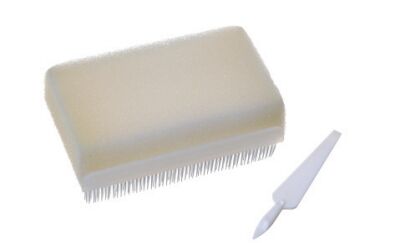 Goede prijs Handschrobborstel voor medisch gebruik   Ergonomisch ontworpen, langdurig, antibacteriële borstel voor gezondheidszorg online