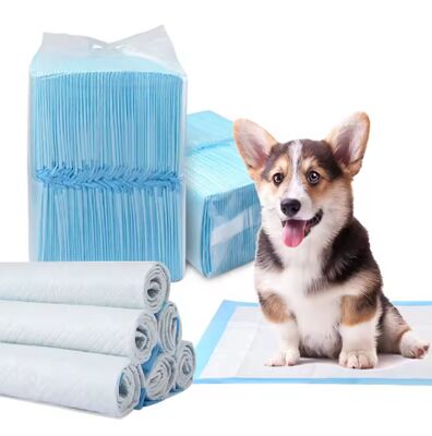 Goede prijs 5-Laags Super Absorberend Huisdier Trainingskussen - Fabrieksgroothandel Puppy Plas Kussen met Hoge Absorptie, SAP & Lekvrije PE Achterkant online