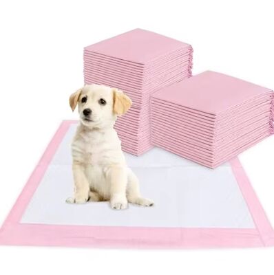 Goede prijs Superabsorberend, snel droogend, lekbestendig, wegwerpbed voor huisdieren voor puppy-training en binnenshuisgebruik online